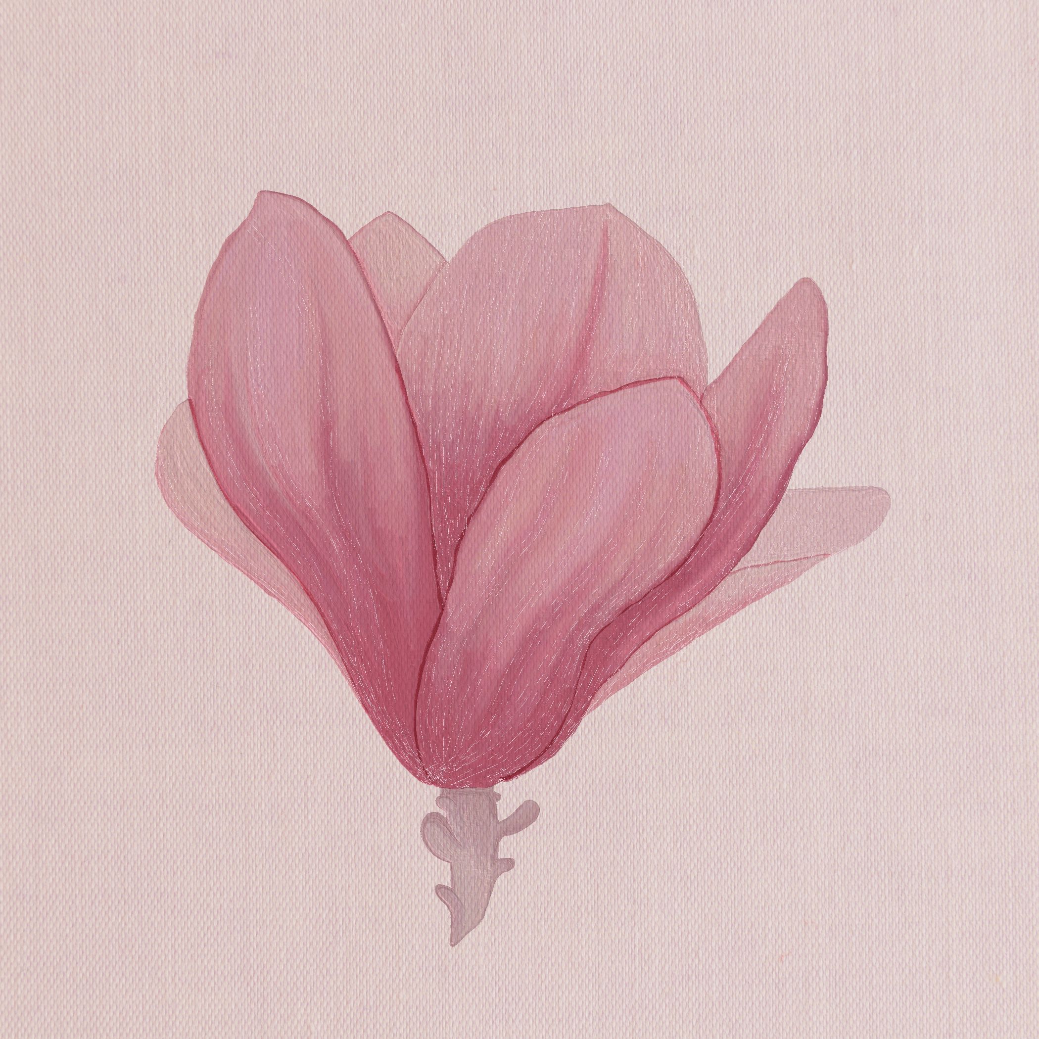 Digital floral illustrations